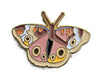 Bermuda Buckeye Butterfly Bermuda Buckeye Butterfly